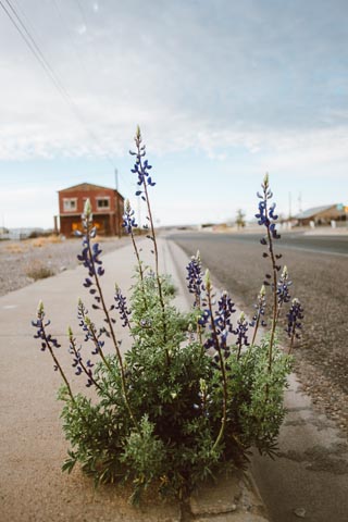 Presidio, Texas
